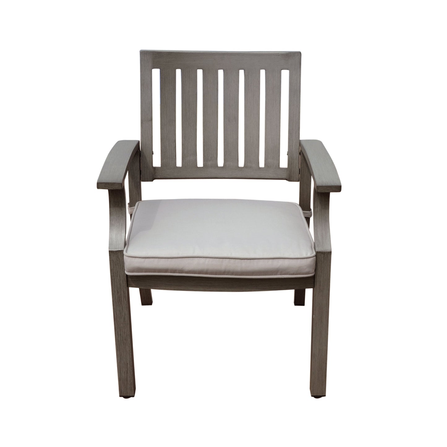 Outdoor Modern Aluminum Dining Chair with Cushion (Set of 2)