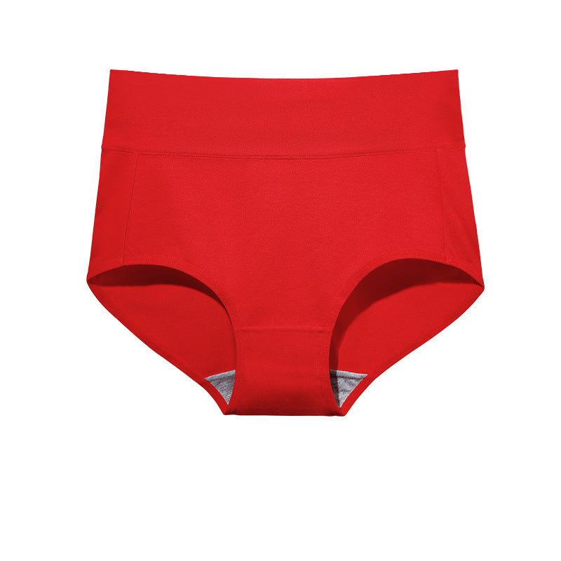 High Waist Briefs Plus Size Fat