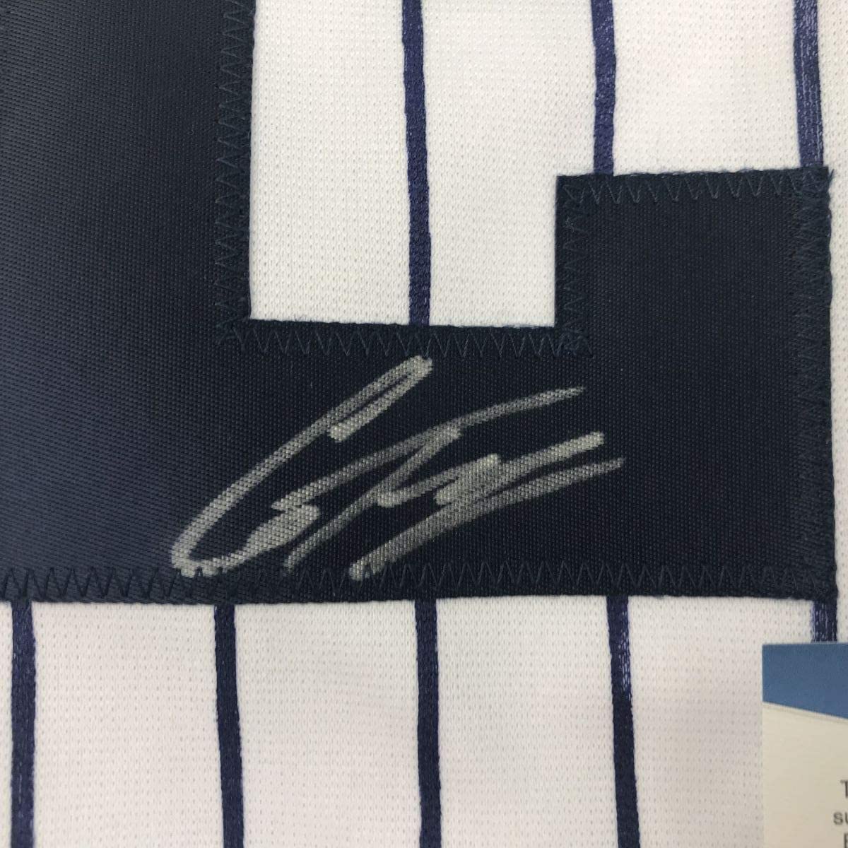 Framed Autographed/Signed Gleyber Torres 35x39 New York #25 Pinstripe Baseball Jersey Beckett BAS COA