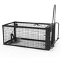 Humane Rat Trap Cage – Live Rodent Trap with Detachable Rod