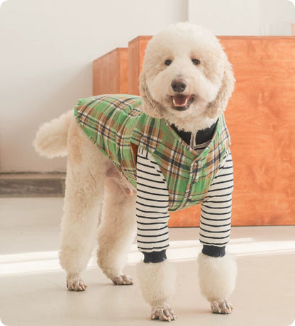 Thermal Protection Labrador Golden Retriever Samoyed Premium Pet Clothing