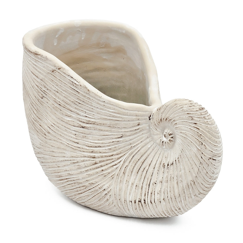 11.5x6.7x7.7" Sand and Cement Nautilus Shell Planter with Textured Beige Finish