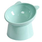 Tilted Cat Food Bowl Elevated Cat Bowl Ergonomic Raised Cat Food Bowl Anti Vomiting Plastic Feeding Bowl Non Slip For Cats Dogs