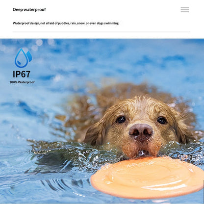 Digital Display Dog Training Collar.