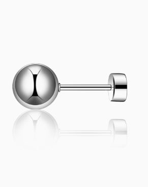 Stainless Steel Platinum Finish Titanium Steel Barbell Round Weight Plate