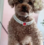 Cat Pearl Necklace Pet Collar