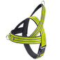 Dog Vest-style Collar And Harness