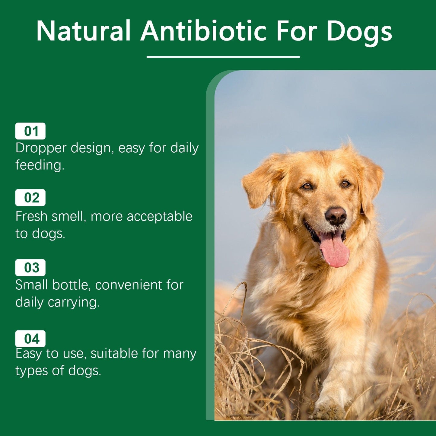 Yegbong Multivitamins For Dogs, Mild Formula To Care For Skin Discomfort, Daily Nutrient Supplement