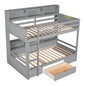 Carolee - Twin Size Bunk Bed With Built-In Shelves