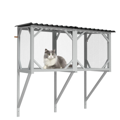 Cat Window Box