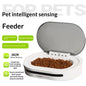 Sensor-Activated Smart Automatic Cat Feeder
