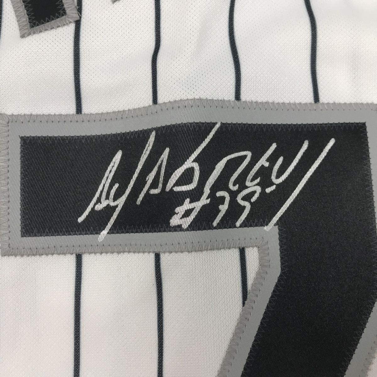 Framed Autographed/Signed Jose Abreu 35x39 Chicago Pinstripe Baseball Jersey PSA/DNA COA