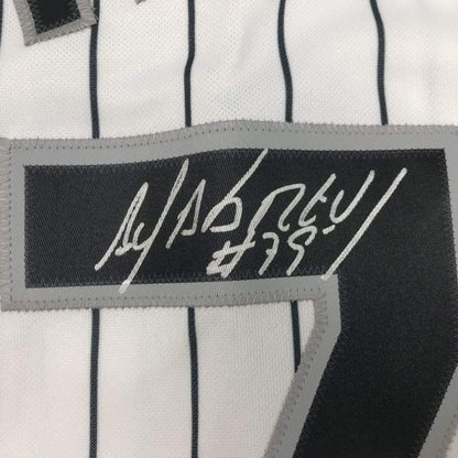 Framed Autographed/Signed Jose Abreu 35x39 Chicago Pinstripe Baseball Jersey PSA/DNA COA