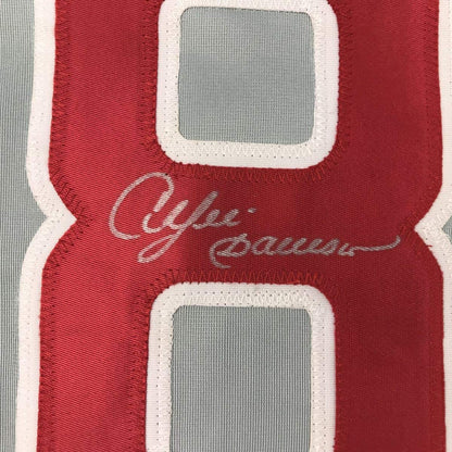 Framed Autographed/Signed Andre Dawson 35x39 Chicago Grey Baseball Jersey JSA COA