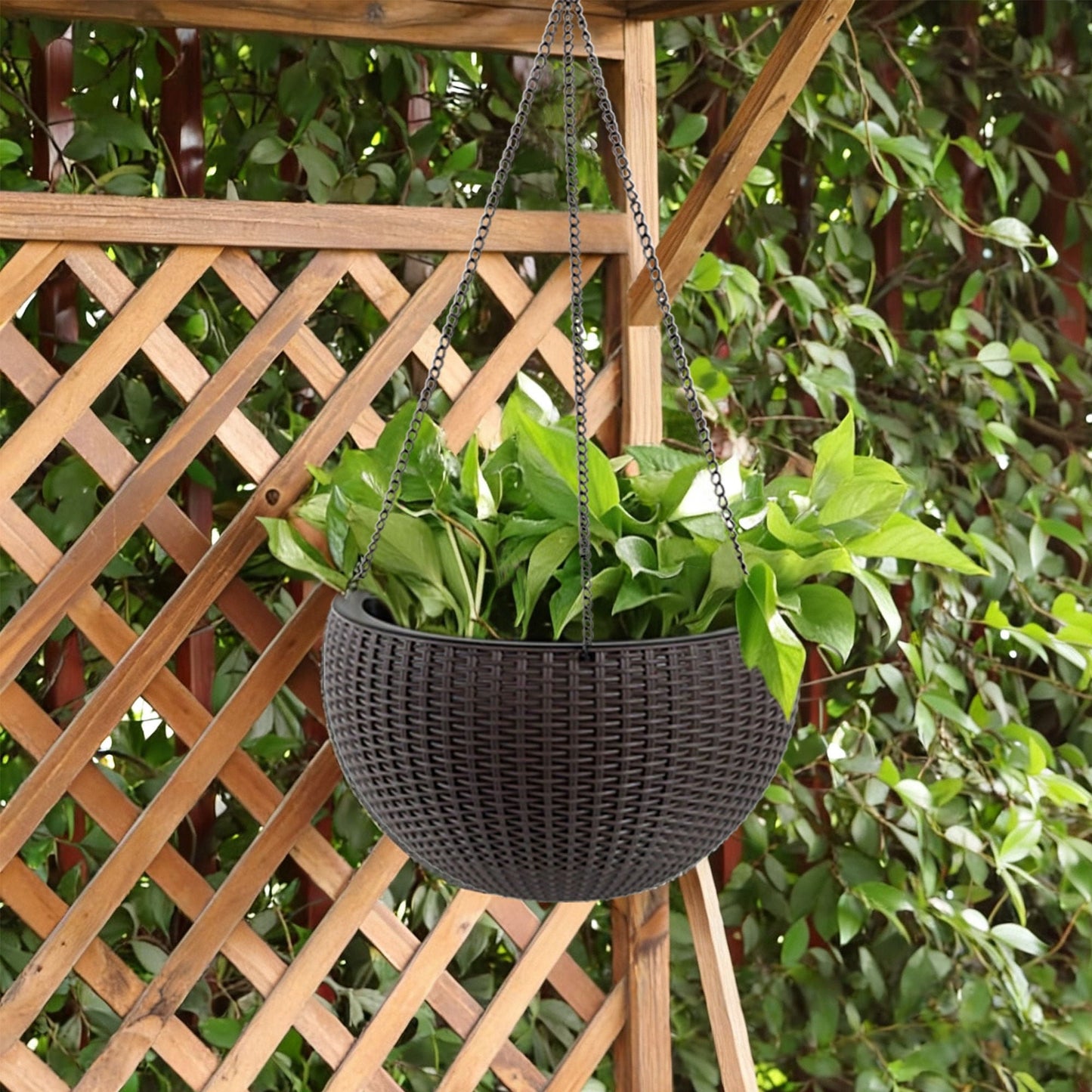 Self Watering Hanging Planter