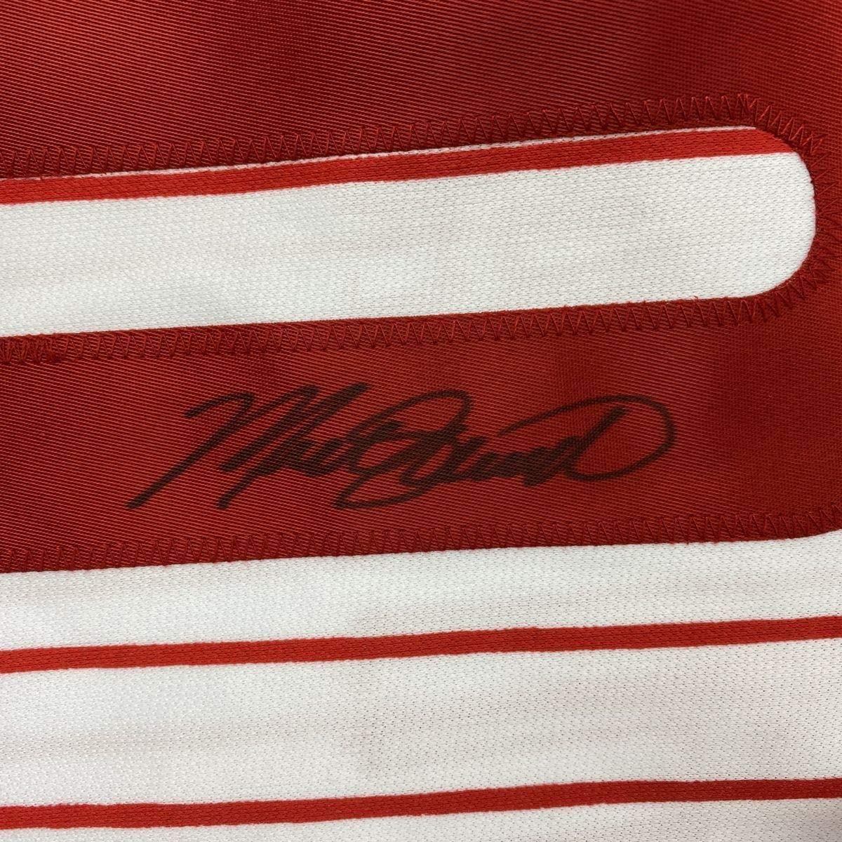 Framed Autographed/Signed Mike Schmidt 35x39 Philadelphia Pinstripe Baseball Jersey GTSM COA Hologram Only