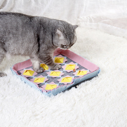 The dog sniffs the mat