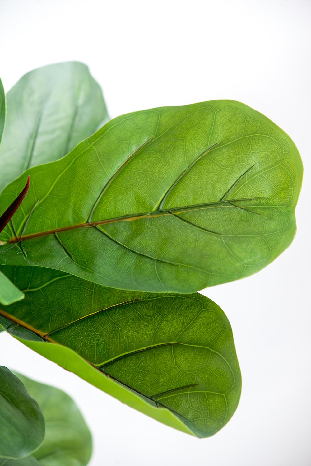 25x25x52"H Fiddle Fig Leaf Tree with 40 Leaves