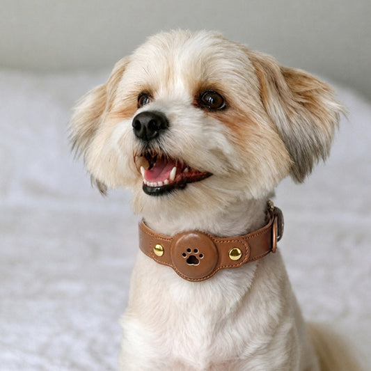Fashionable PU Leather Pet GPS Collar