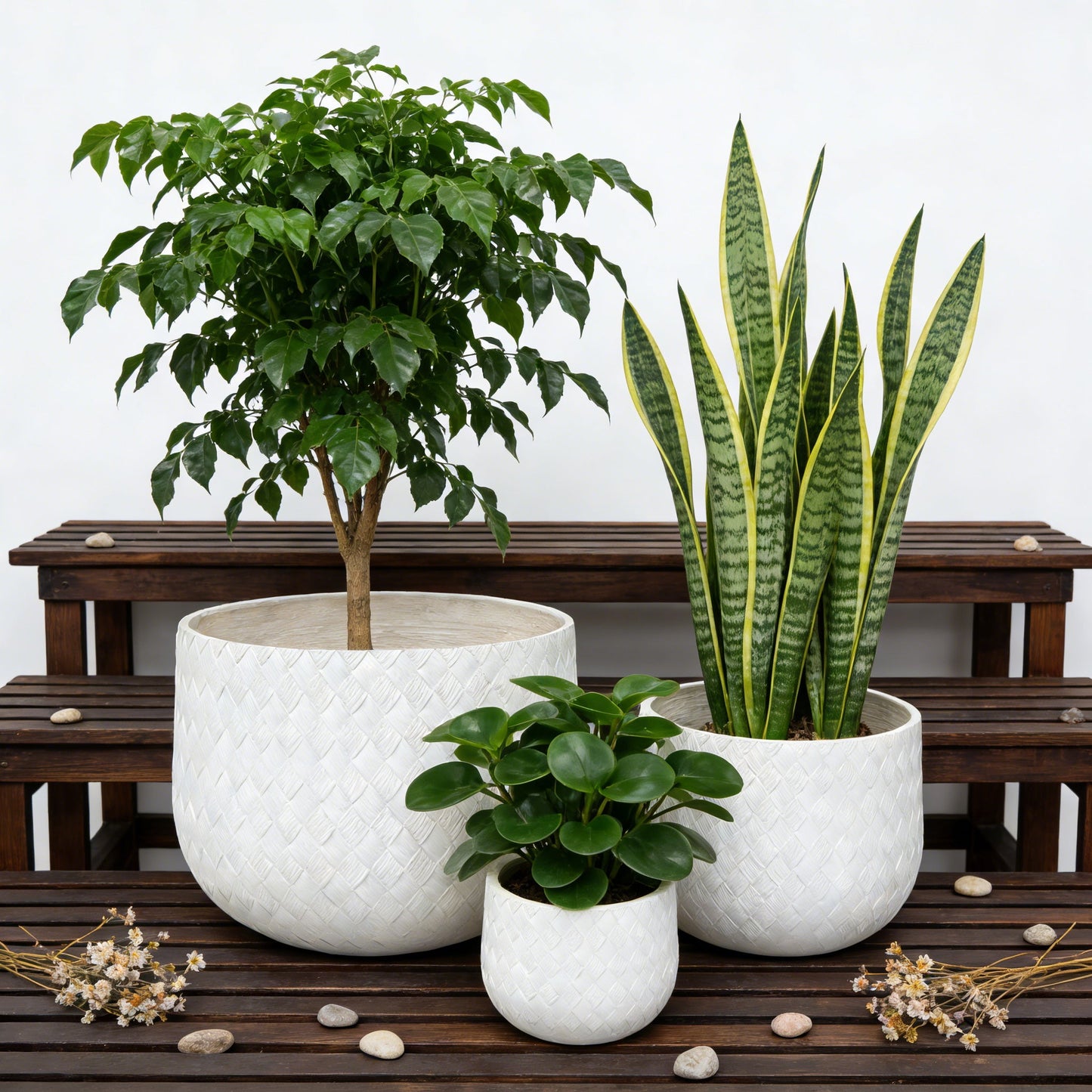 Assorted Sizes Magnesium Oxide Round Planter Set of 3