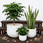 Assorted Sizes Magnesium Oxide Round Planter Set of 3
