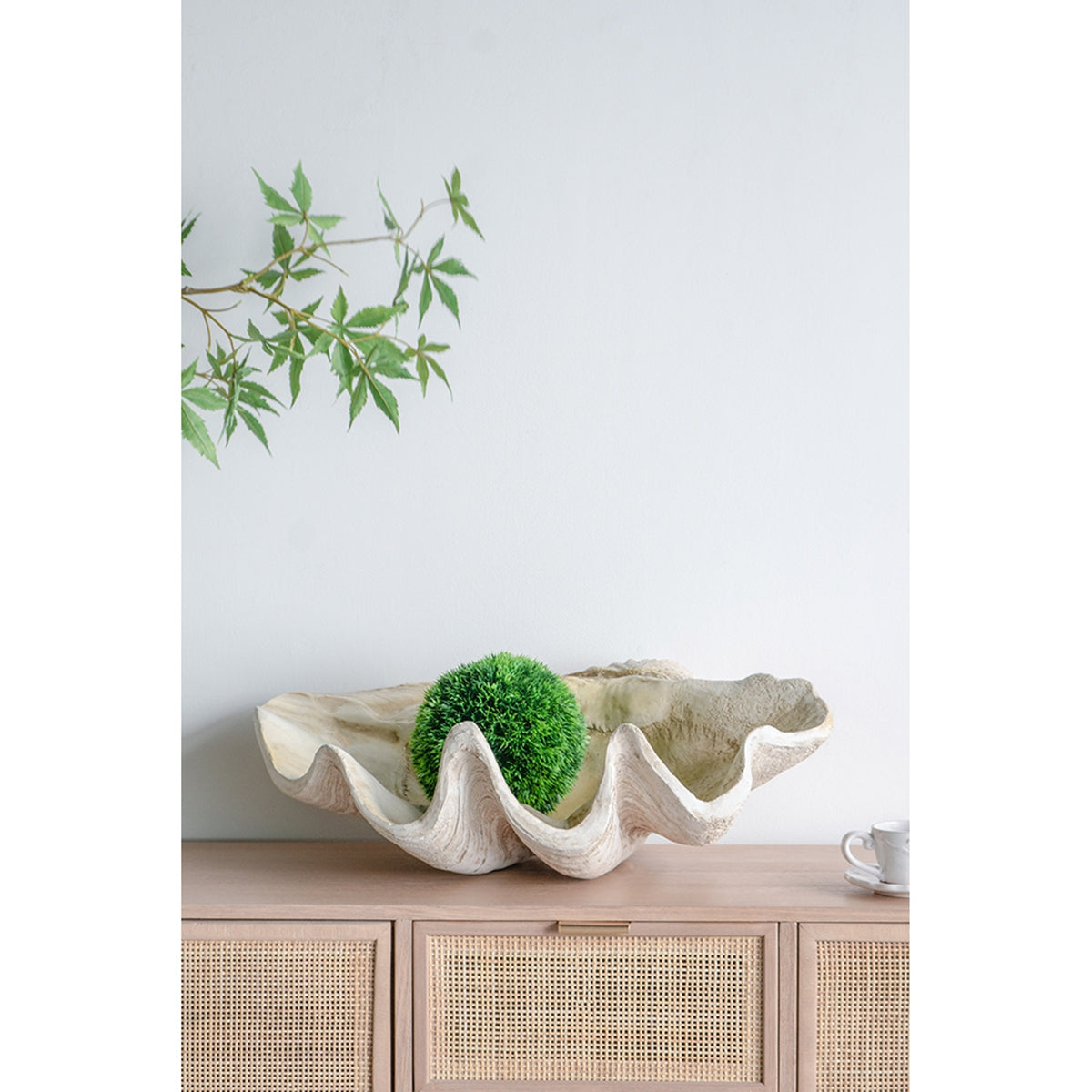 Large Clam Shell Accent 25.3x16.5x8.5"