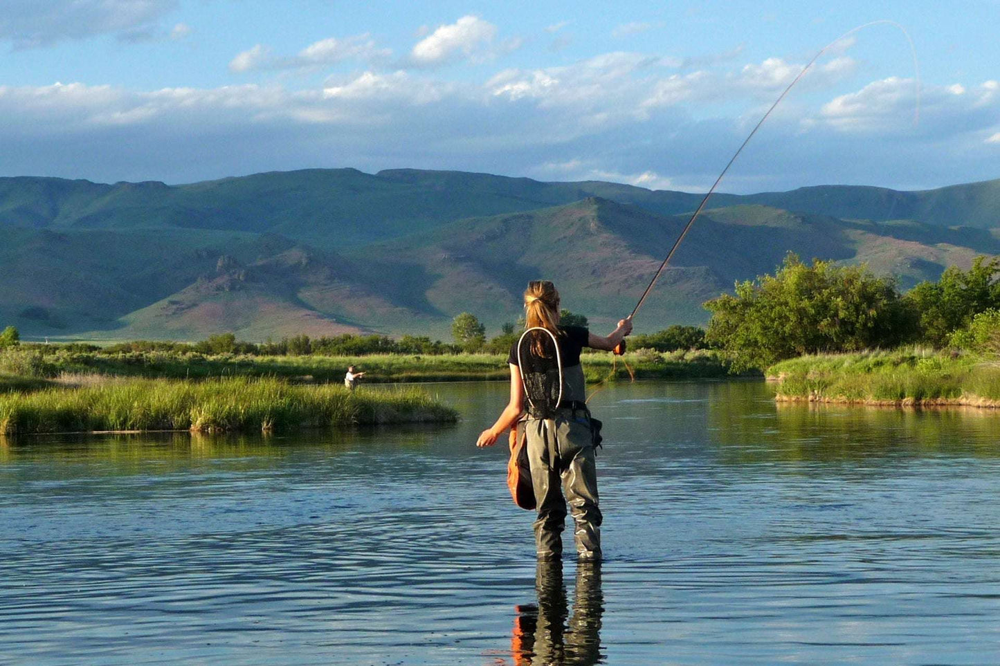 Sparkle Dun Pale Morning Dun PMD Yellow Body Mayfly 12 Flies Hook size 16
