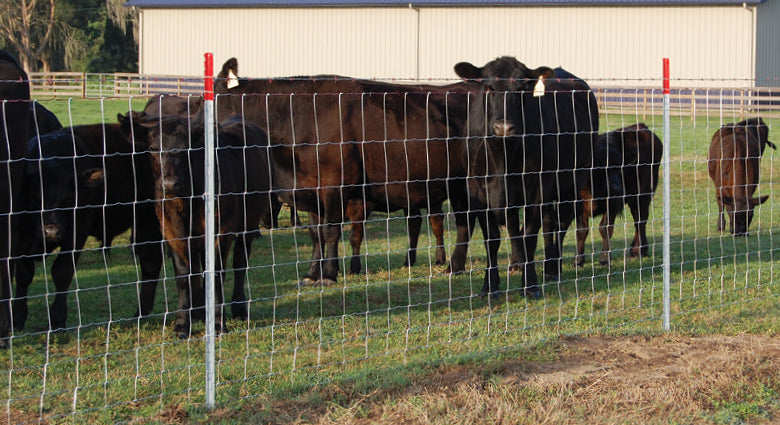 Farm Fence 4ft x 164ft 14-Gauge Heavy Zinc Coated Wire Fencing