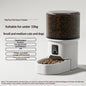 Automatic Dog Feeder