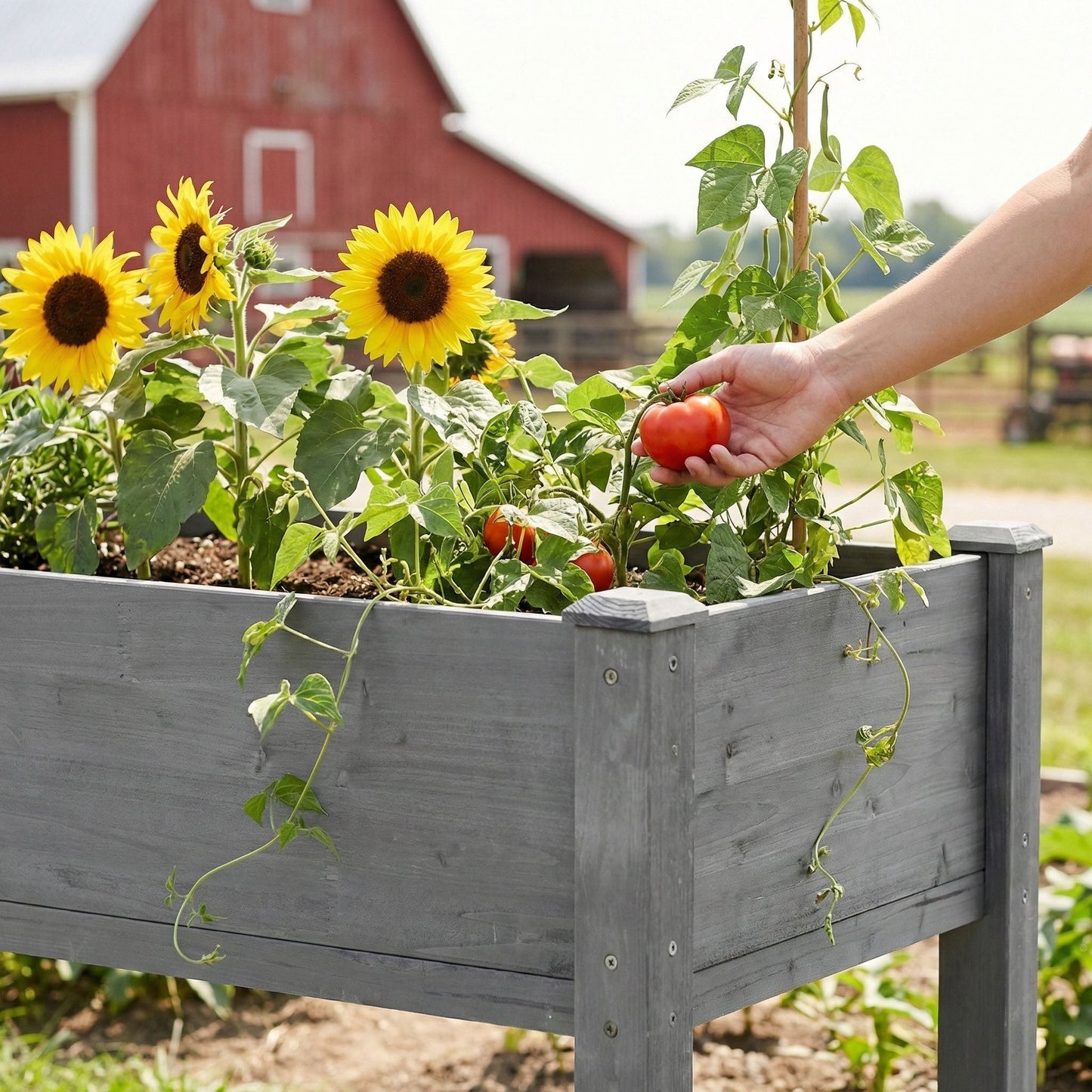 Elevated Raised Garden Bed For Outdoor