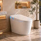 Smart Toilet With Bidet Built In