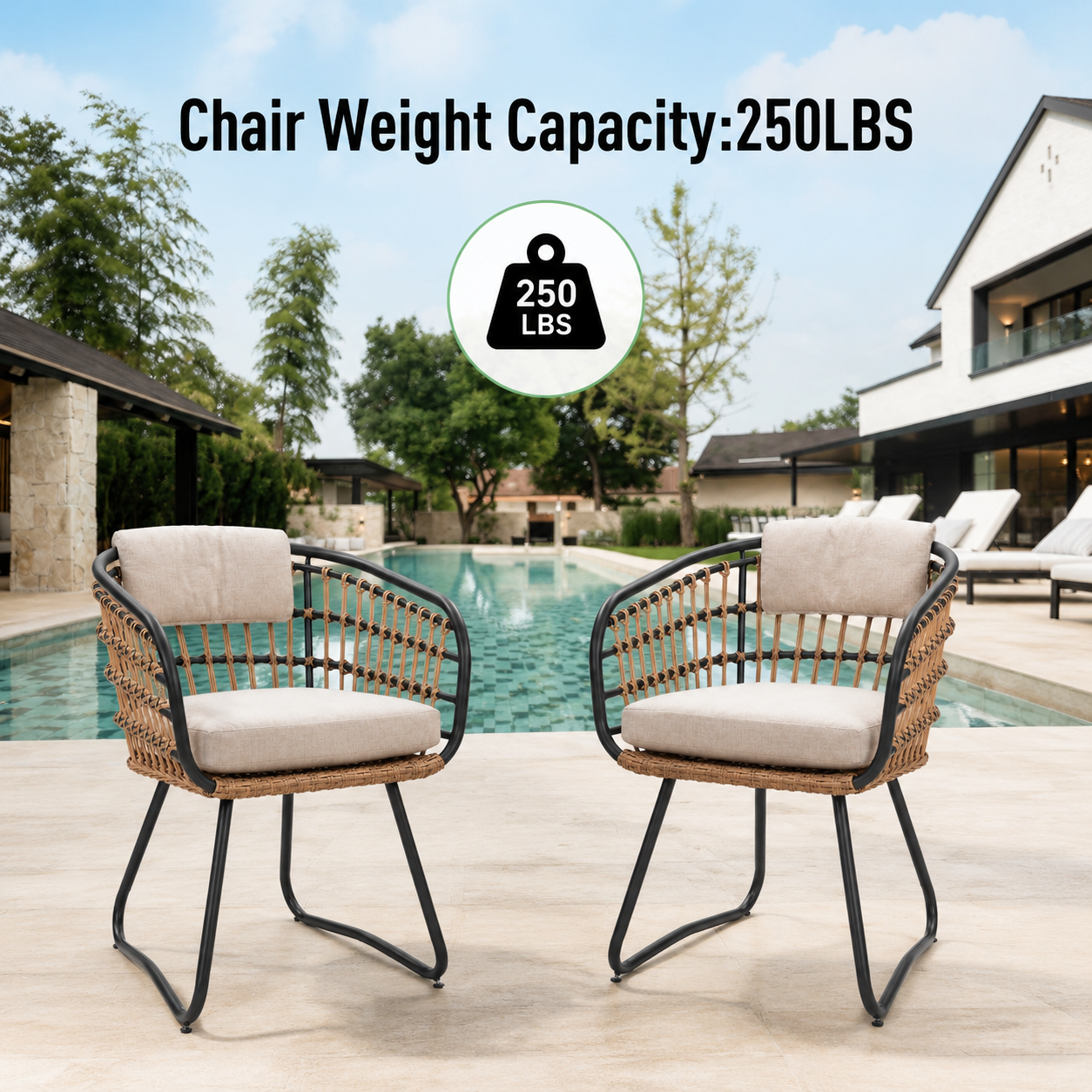 Outdoor Wicker Dining Chairs Set of 2 with Cushions