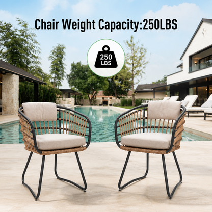 Outdoor Wicker Dining Chairs Set of 2 with Cushions
