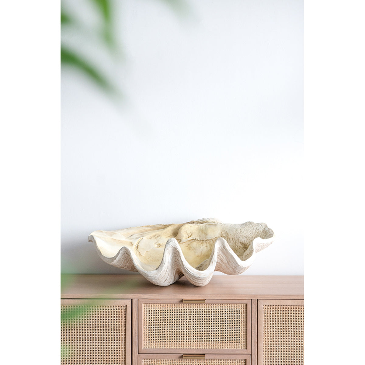 Large Clam Shell Accent 25.3x16.5x8.5"