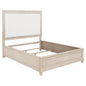 Pembroke 66-inch Queen Panel Bed Washed Oak