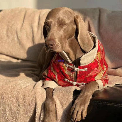 Festive Big Dog Clothes For The New Year