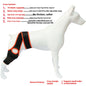 Dog Hind Leg Knee Brace Assist Strap