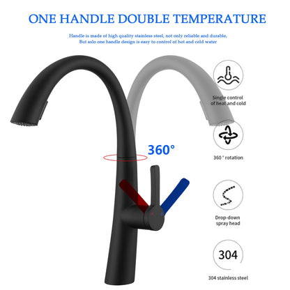 Elegant Single Handle Stainless Steel Pull Out Kitchen Faucet With High Arch Spout