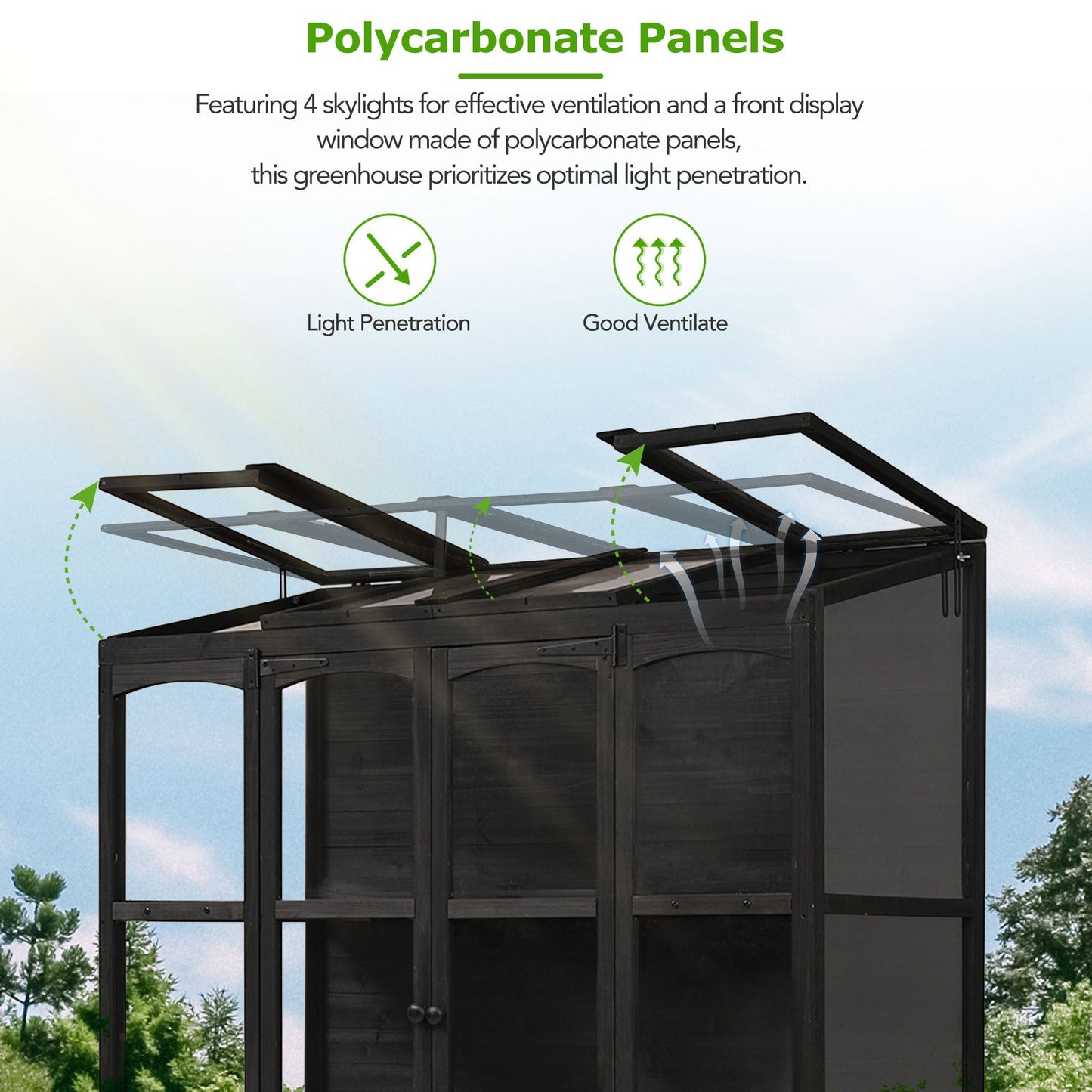 TOPMAX 78-inch Wooden Greenhouse Cold Frame with 4 Independent Skylights and 2 Folding Middle Shelves