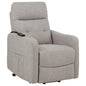 Dayes Upholstered Power Lift Recliner Chair Taupe