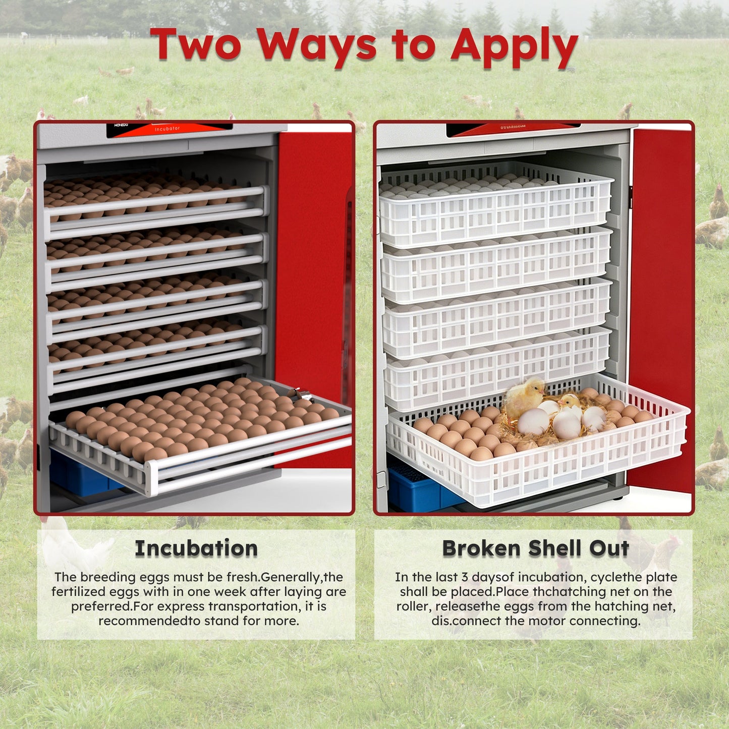 400-Egg Commercial Cabinet Incubator