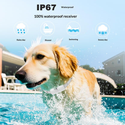Rechargeable Waterproof Long-Range Remote Dog Training Collar