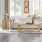 2-Piece Modern Rectangle Coffee Table Set