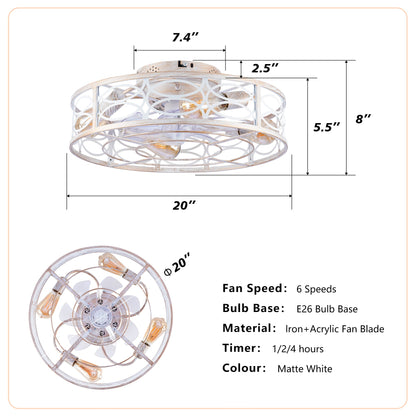 20" Caged Ceiling Fan with Lights and Remote Control