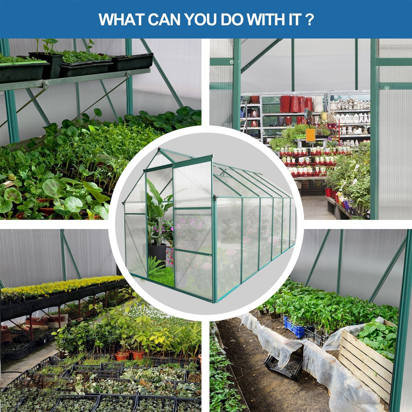 Polycarbonate house Raised Base And Anchor Aluminum Heavy Duty Walk-In houses For Outdoor Backyard In All Season