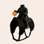 Halloween Headless Horseman Cat Costume