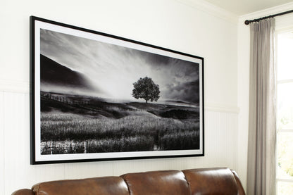 Deborland - Wall Art - Black / White