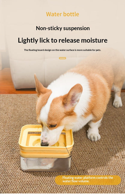 No-Wet Mouth Large-Capacity Automatic Pet Water Dispenser