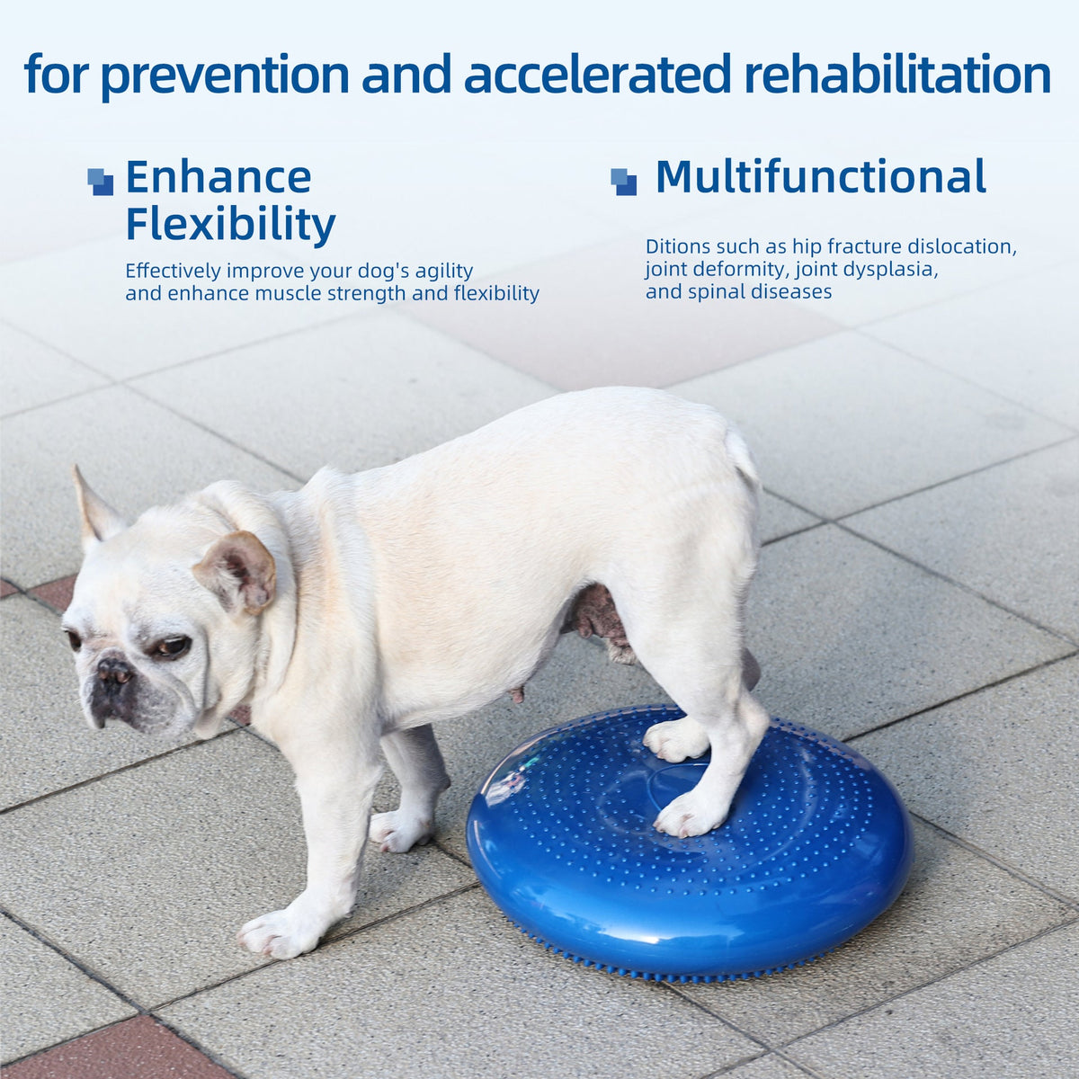 Thickened PVC Pet Balance Disc & Training Pad