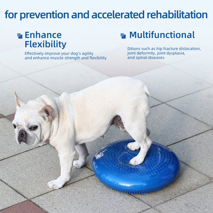 Thickened PVC Pet Balance Disc & Training Pad